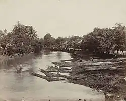 Log transport in the Dutch East Indies (now Indonesia)  1870