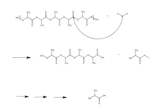 Hydrolytic Degradation of the aliphatic polyester, PLA.