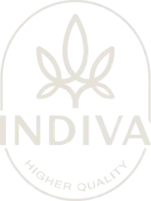 Stylised cannabis leaf above Indiva Higher Quality