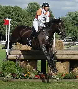 Eventing, Schenefeld 2010