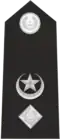 Insignia Of Superintendent (more than 8 years' service)