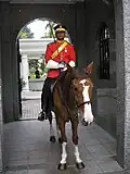 Mounted royal guard at the main gate.