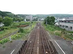 View of tracks from footbridge