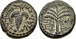 Bar Kokhba coin depicting grapes, a date palm, and a Hebrew inscription mentioning "Eleazar the Priest"