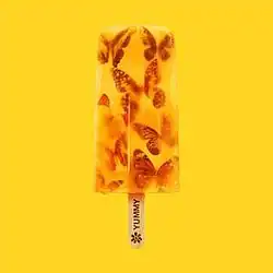An image of an ice lolly with butterflies in it