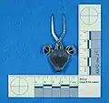 Homemade goat pendant made from a fork. The item was traced back to a Janesville craftsman