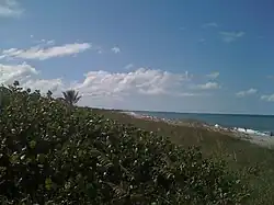 View of the town's beachfront on Jupiter Island