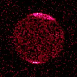 Jupiter in X-ray light