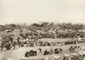 Livestock market in Katsina, 1911