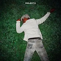 A passed-out man lying face down on a grass field. The text "Project X" in top center