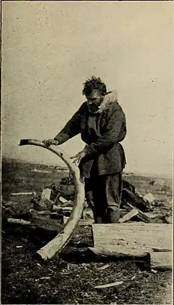 Knight with a Mammoth tusk found on Wrangel Island