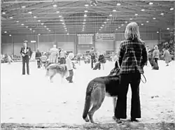 Dog show at the Kisapuisto in 1970s