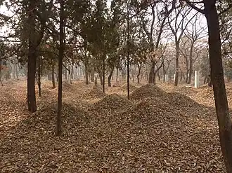 A cemetery landscape