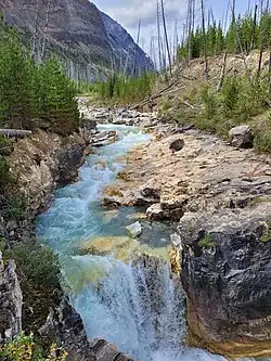 Kootenay River near Marble Canyon in Kootenay National Park (2021)