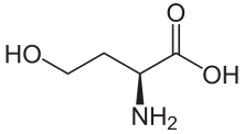 Skeletal formula
