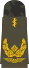 Generalarzt (human medicine)