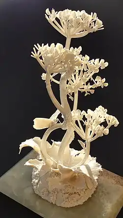Sculpture of Cow Parsley by Patrick O'Hara after glazing; fully translucent