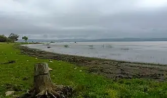 The shore of a body of water.