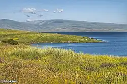 The picture depicts a landscape of a lake, with a green grassy shore land. In the horizon you can see a hill on the other side of the lake