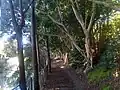 Greenway path - Leichhardt 2022