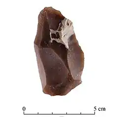 Levallois flake found at Nesher Ramla