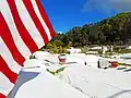 American flag flying next to caskets