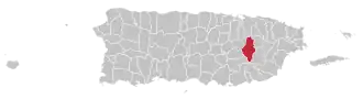 Caguas map