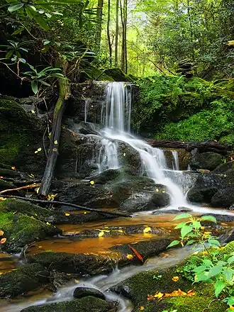 Oakland Run waterfalls as seen from the Mason-Dixon Trail