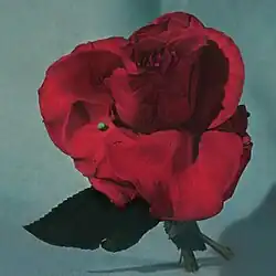 A painting of a rose
