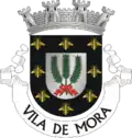 Coat of arms of Town of Mora