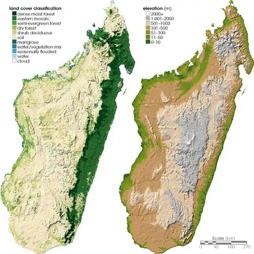 Two maps of Madagascar, showing land cover on the left and topography on the right