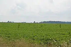 Fields west of Flora