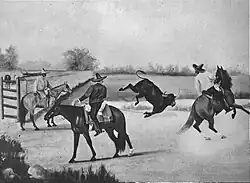 Charro executing a mangana, roping the forelegs of a bull.