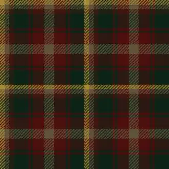 A tartan with wide bands of green and red, and narrower bands of grey and yellow