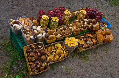 Mushrooms and berries collected in Lithuania