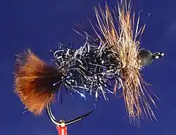 Minch's Black Stonefly Nymph