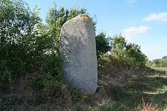 The Menhir de la Chenillée&nbsp;[fr] in Saint-Vincent-sur-Graon