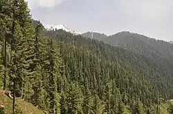 Miandam, Swat Valley