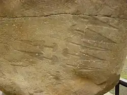 Dagger petroglyphs from Val Camonica in northern Italy