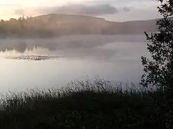 Mist on the lake