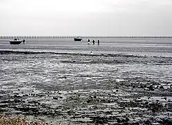 Showing some of the further reaches of the boom