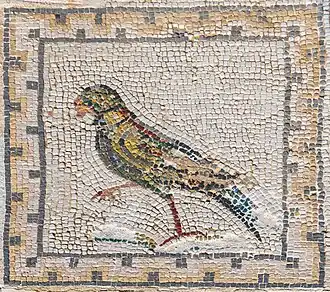 Bird mosaic floor