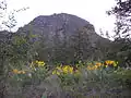 Looking up at the east face of Mount Boucherie.