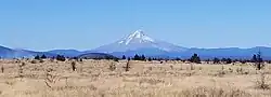Mount Hood (as seen from the reservation)