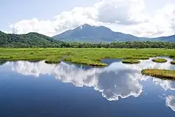 View from a mountain on a wide valley with light green areas bordered by dark green forest.