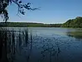 Lake "Mühlenbecker See"