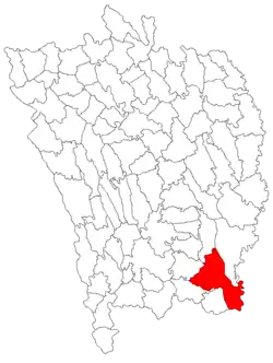 Location in Vaslui County