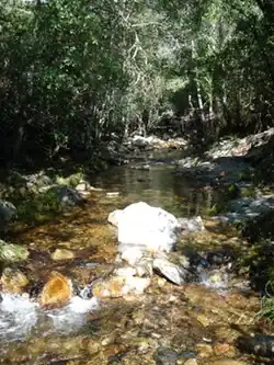 Francia River on Las Casas del Conde