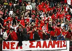 Nea Salamina Famagusta VC Fans at the final of Cyprus Volleyball Cup 2010-11, where their team won the cup