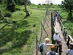 Ngamba Island Chimpanzee Sanctuary - Pallet.